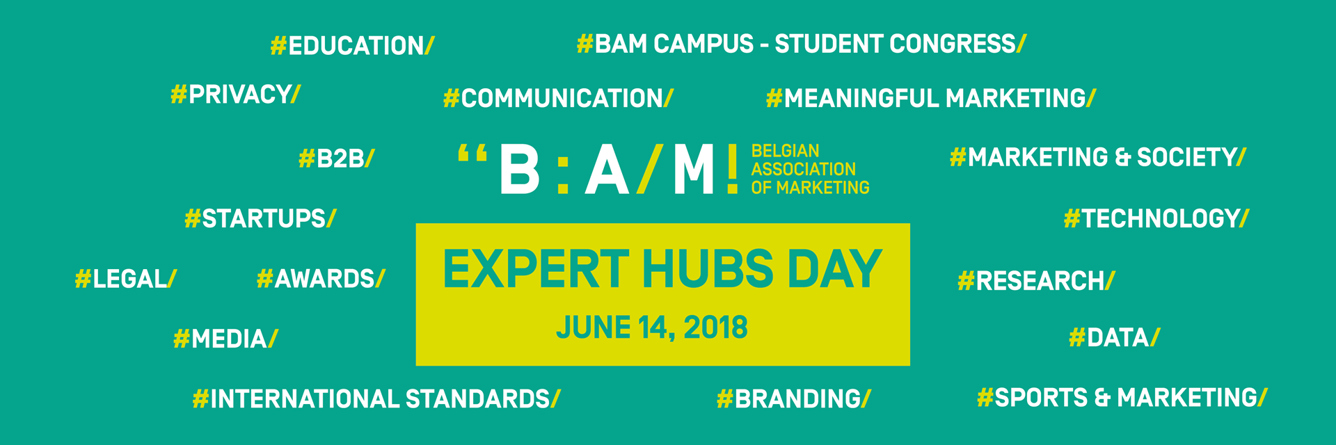 Expert hubs day